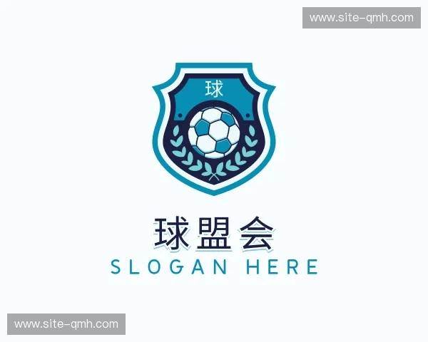 关于球盟会官网